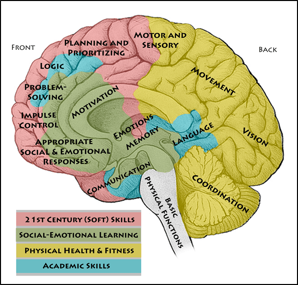 Afterschool and Brain Development Social Emotional Learning