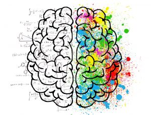 brain illustration showing an analytical side and creative side