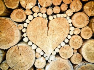 logs arranged in a heart