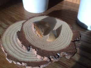 stone that has broken into 2 pieces, displayed on a round of cut wood