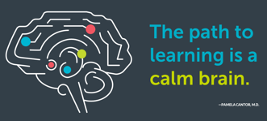 The path to learning is a calm brain