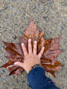 hand over a large orange maple leaf