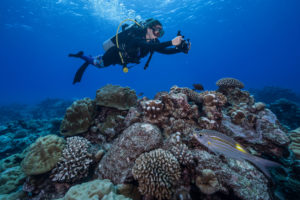 women in STEM record underwater video in a reef