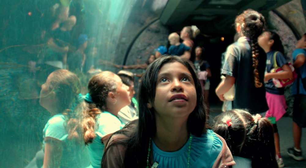 young girl looks in wonder at the aquarium