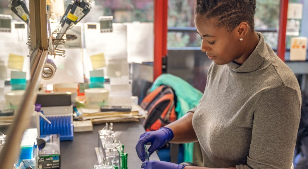 Why is it so important for girls to see women in STEM Careers?