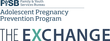 Community Saturation Sourcebook: A Field Plan Community Saturation Sourcebook: A Field Plan