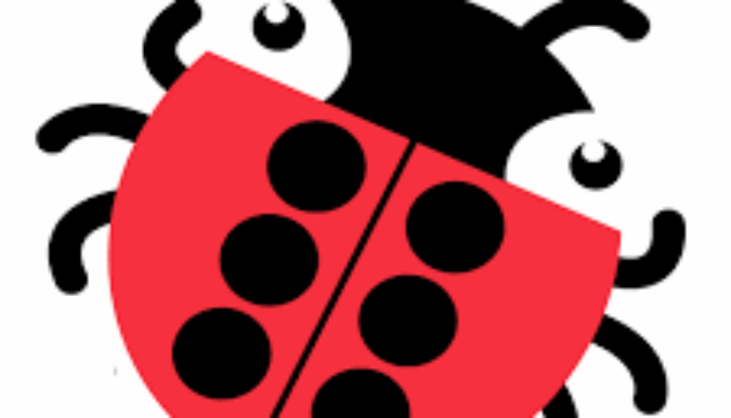 Braille Bug: Activity Booklet