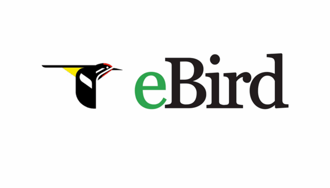 Virtual Scavenger Hunt