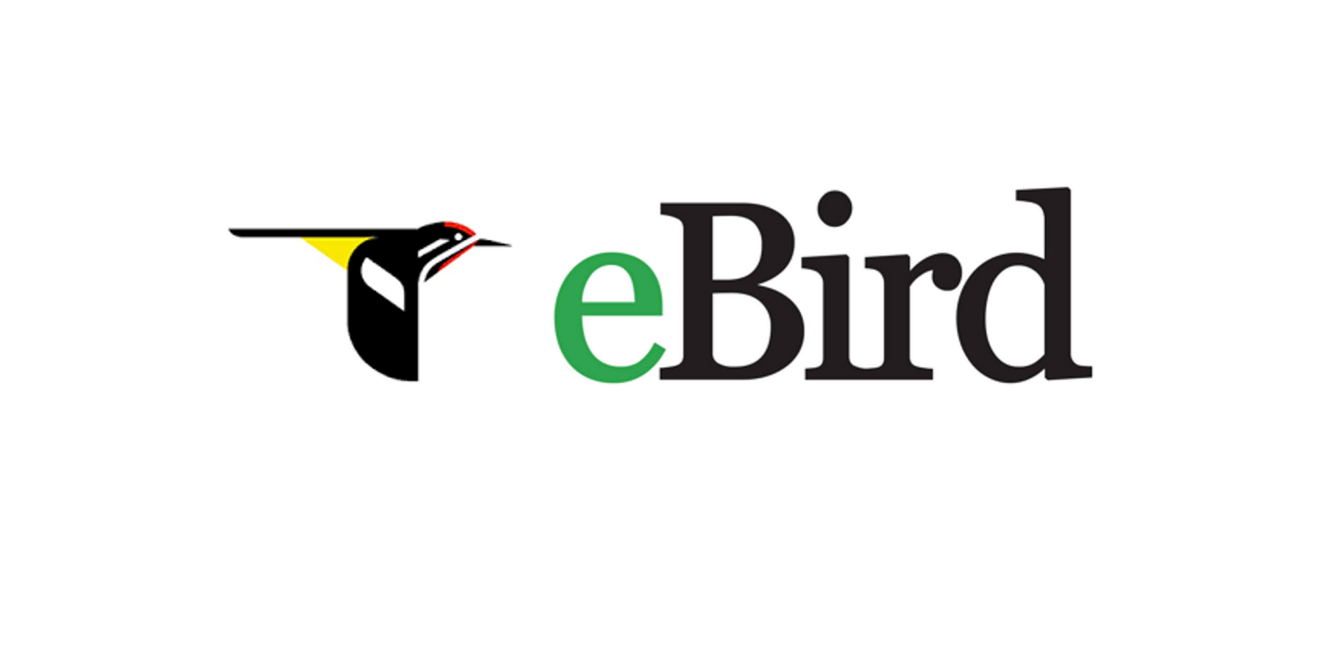 CornellLab eBird